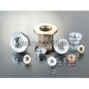 Stainless Steel Hex Flange Nuts